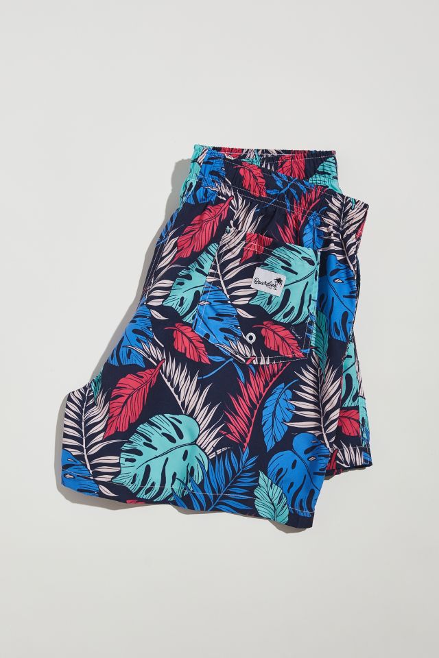 Boardies Palmtopia Mid-Length Swim Short #3
