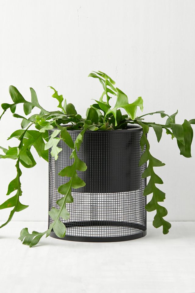 Anna Mesh Planter #1