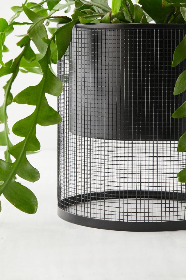 Anna Mesh Planter #3