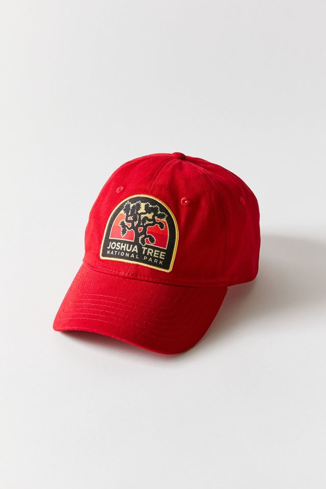 Joshua Tree Baseball Hat | Urban Outfitters