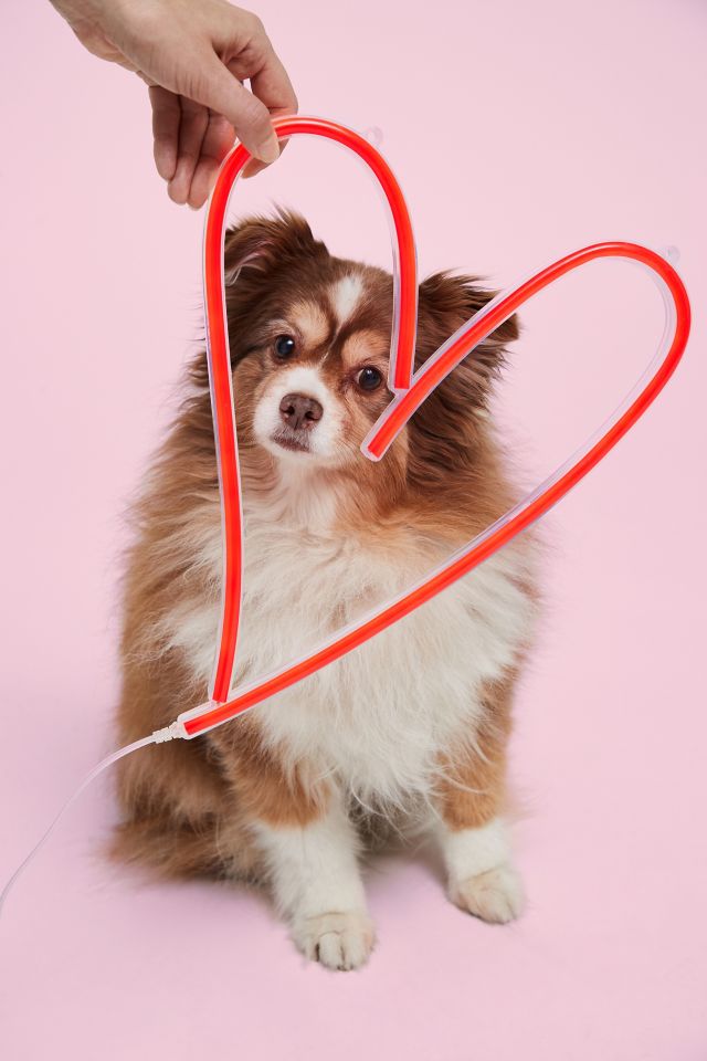 Heart Neon Sign #4