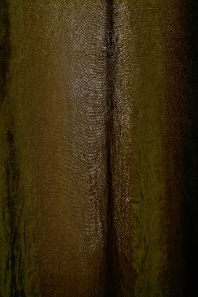 Beau Velvet Window Panel #2