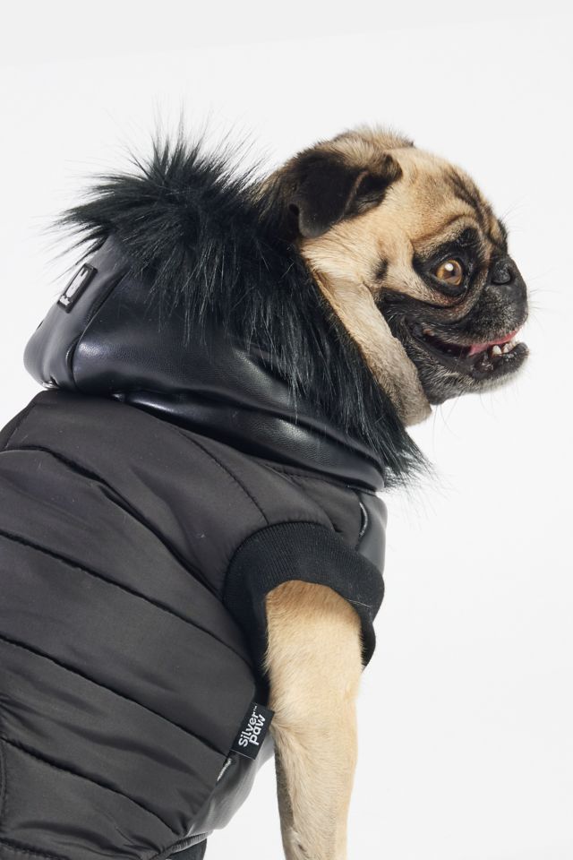 Silver paw dog store coat