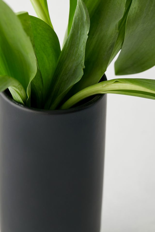 Frankie Vase #3