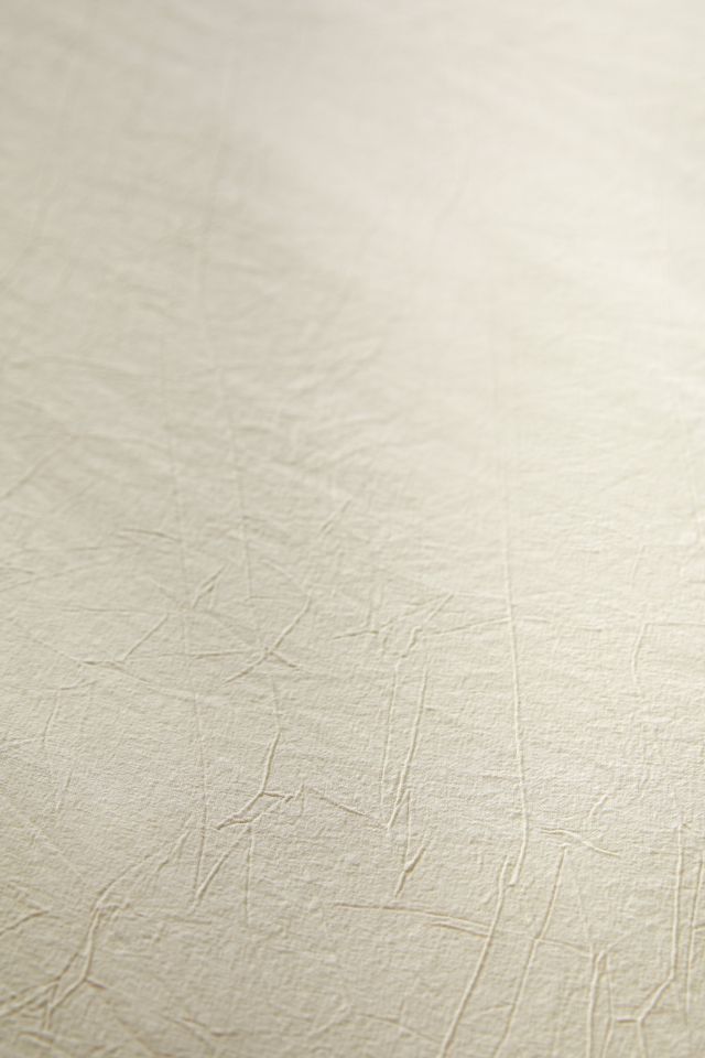 Ensemble de Couette en Coton Lavé Bien Usé #3