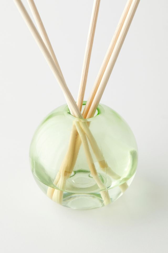 Ensemble de Diffuseur de Roseau et d'Huile Parfumée Paddywax Realm - Bambou #2
