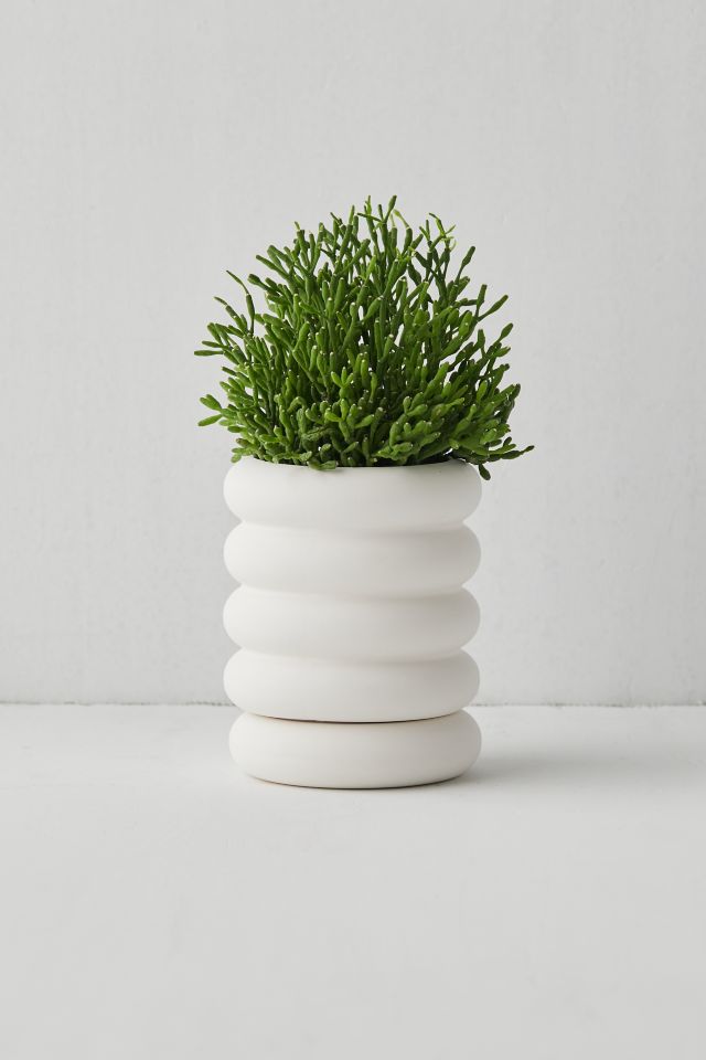 Mini Jardinière Empilable Haute Areaware #1