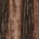 Walnut Wood Frame