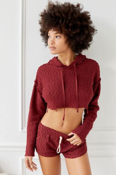 Urban outfitters best sale crop hoodie