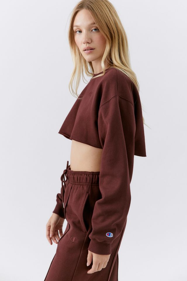 Urban outfitters champion cropped hoodie hot sale