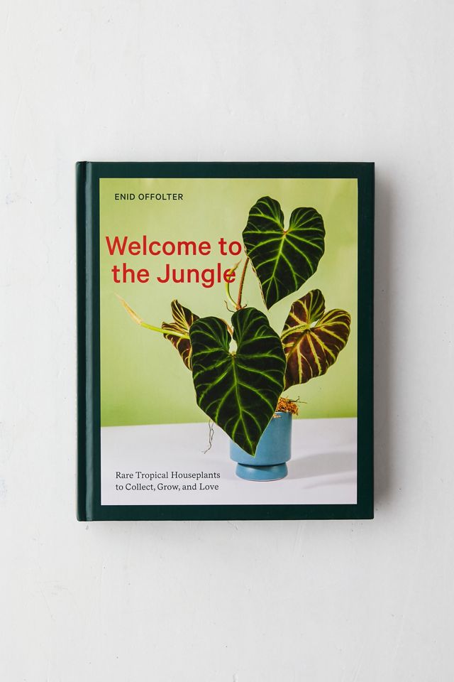 Welcome To The Jungle: Rare Tropical Houseplants To Collect, Grow, And Love By Enid Offolter