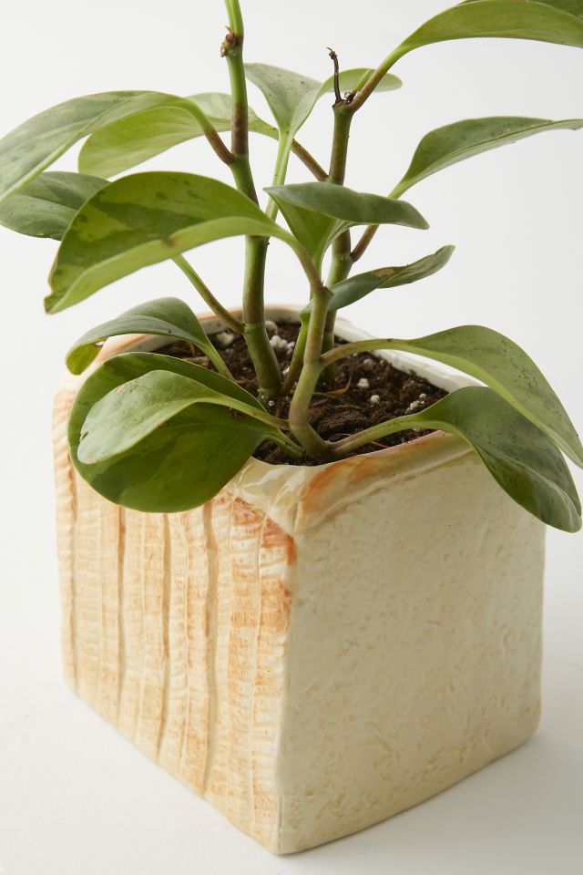 Loaf Shaped Planter #4