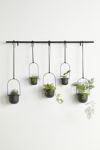 Triflora Large Hanging Planter