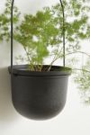 Triflora Large Hanging Planter