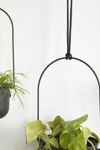 Triflora Large Hanging Planter