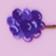 Grape