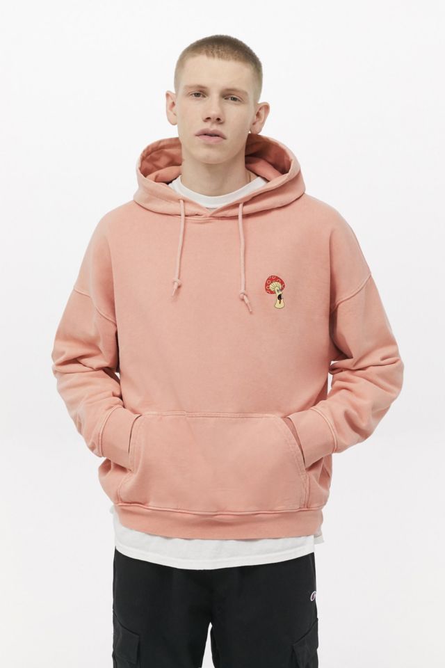 Urban outfitters best sale pastel hoodie