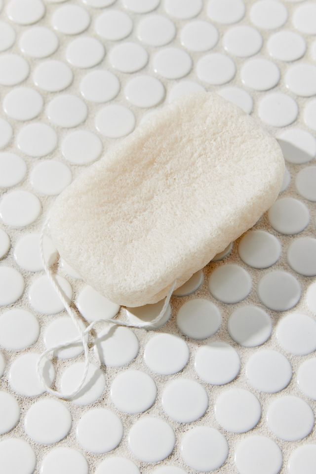 Everist Compostable Konjac Sponge Urban Outfitters