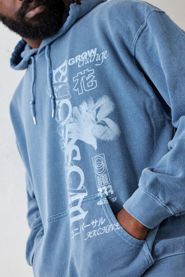 Uo apple hot sale blossom hoodie