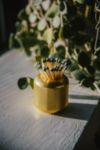 Craighill Cast Iron Match Case + Striker