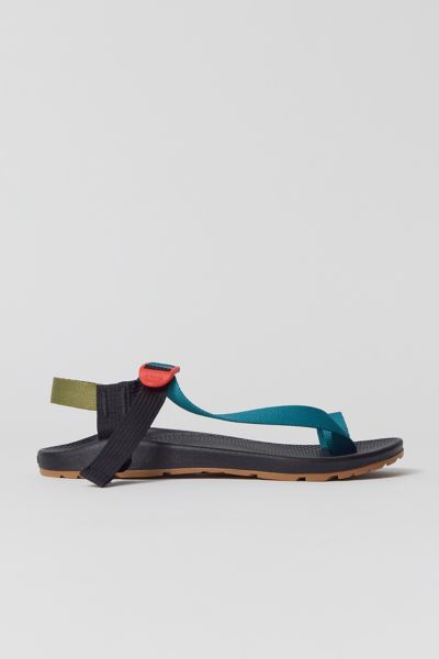 Chaco Bodhi Toe Loop Sandal In Teal Avocado