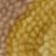 Ivory Multi