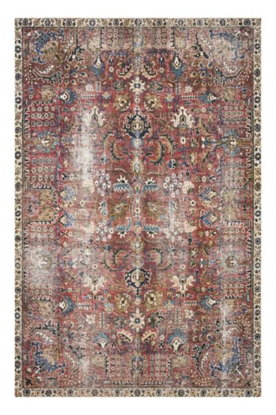 San Marzano Tomato Can Shape Tufted Shag Rug