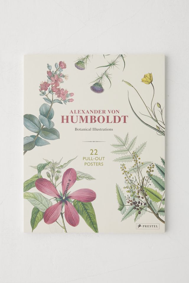 Alexander Von Humboldt Botanical Illustrations: 22 Pull-Out Posters By Otfried Baume #1