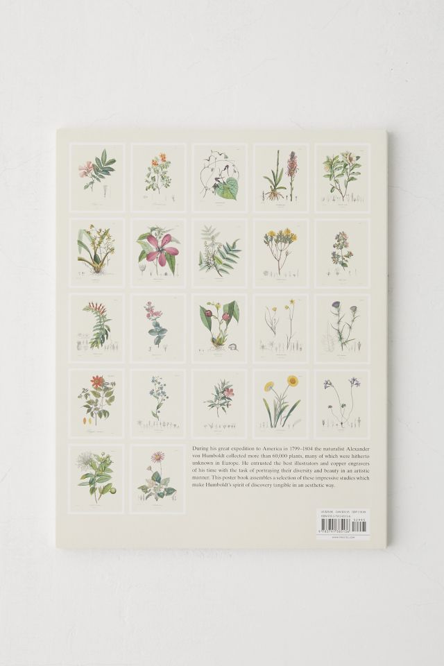 Alexander Von Humboldt Botanical Illustrations: 22 Pull-Out Posters By Otfried Baume #5
