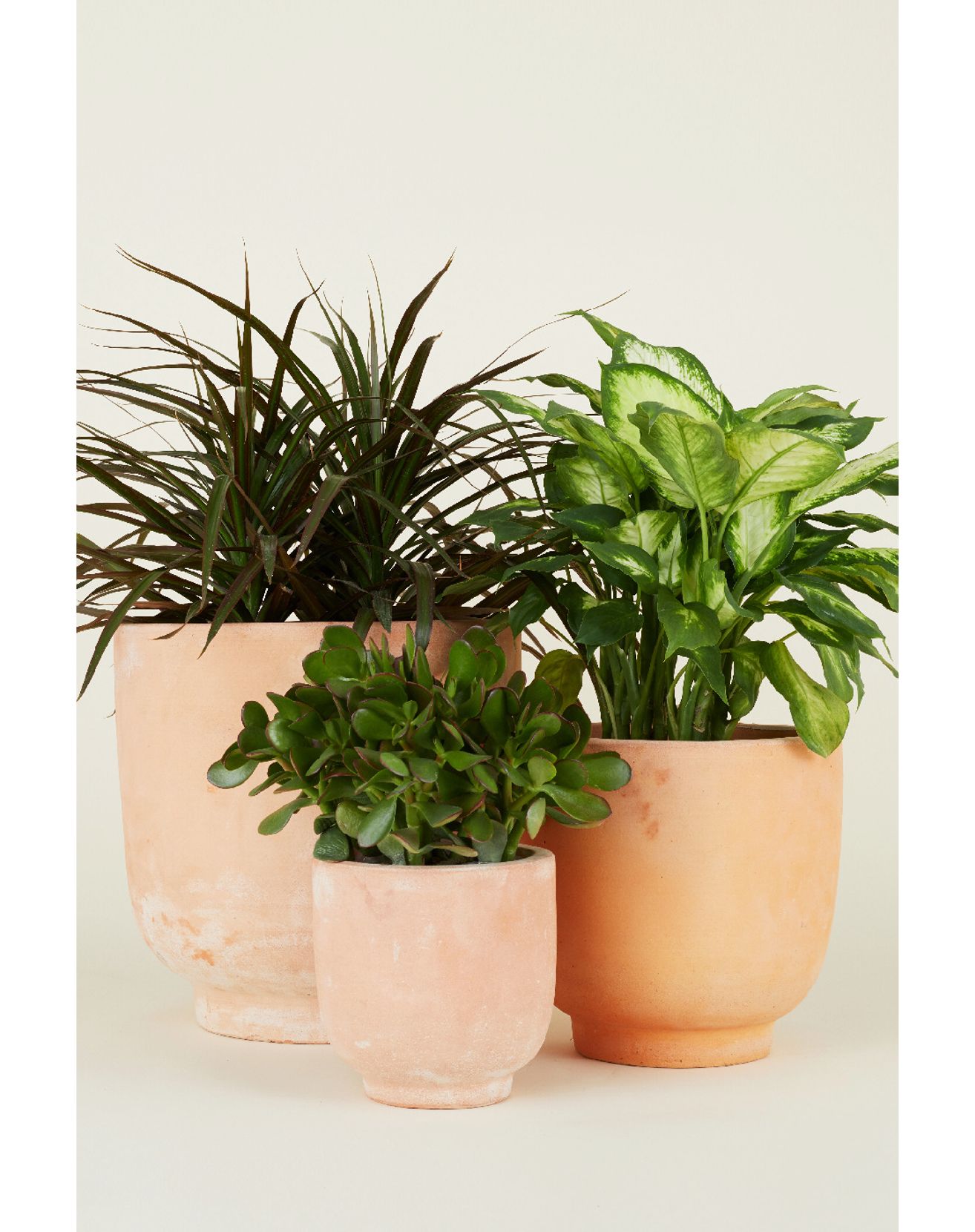 Hawkins New York Footed Terracotta Planter - Neutral, Regular, M