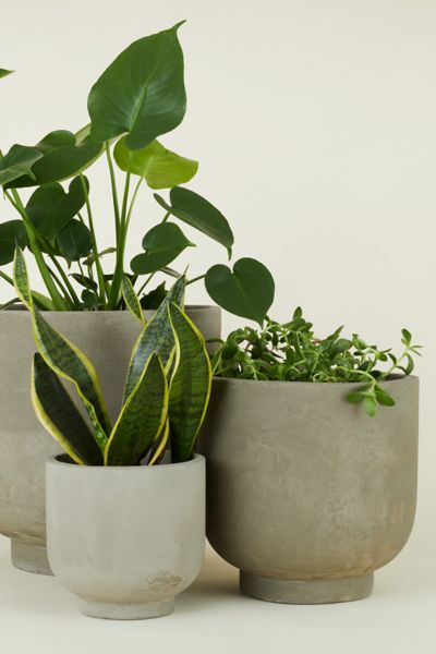 Hawkins New York Footed Fiber Cement Planter