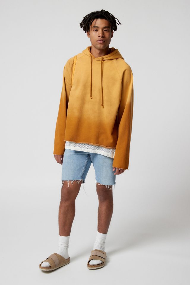 Sweat à Capuche Dégradé BDG #1