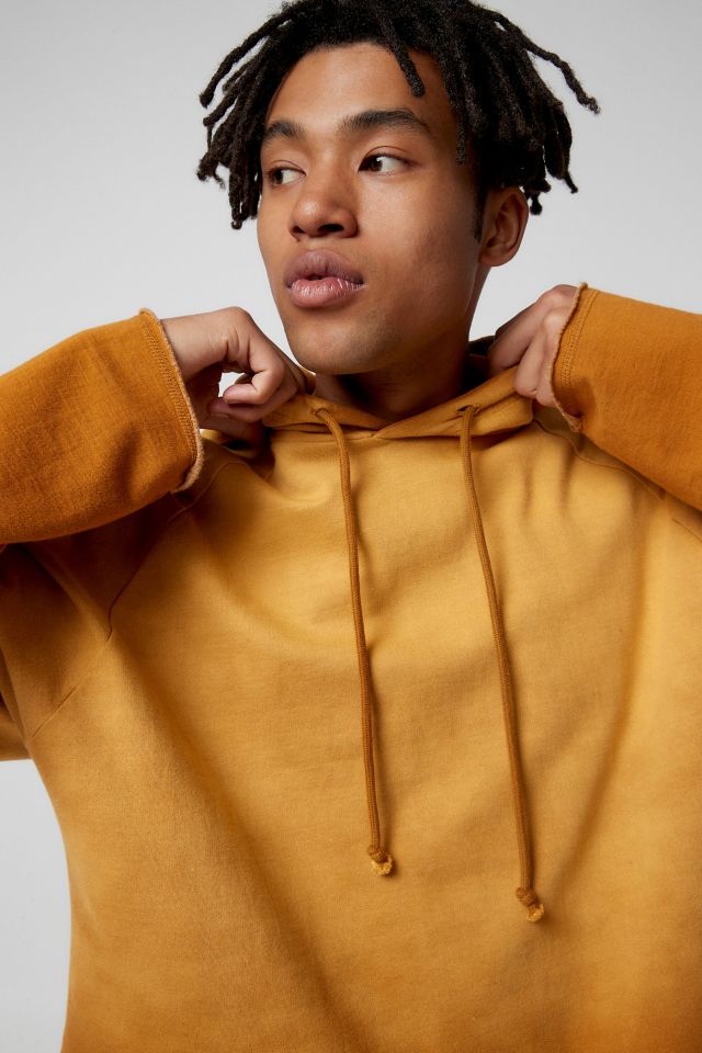 Sweat à Capuche Dégradé BDG #2