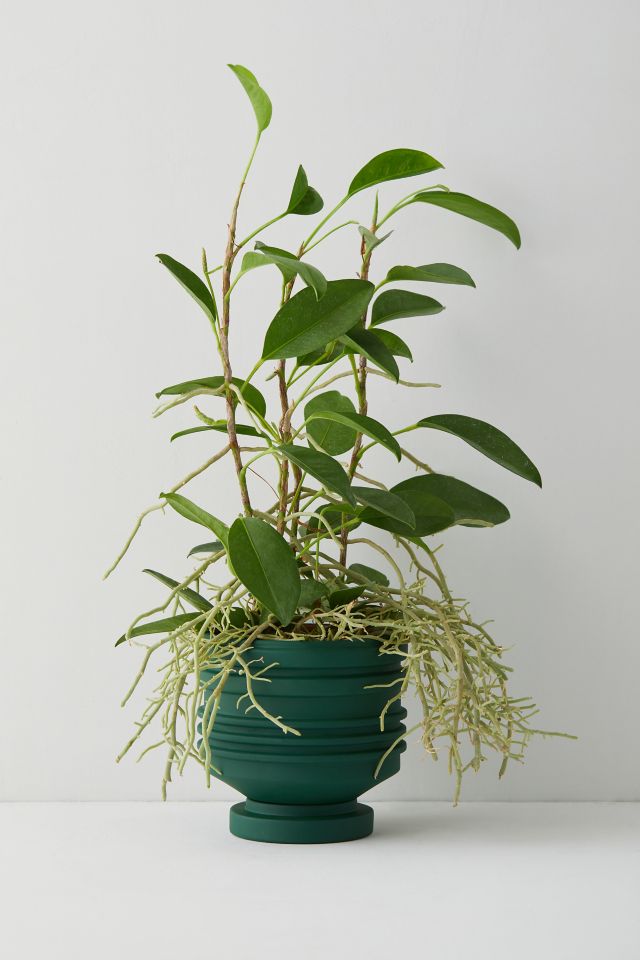Areaware Strata Planter #2