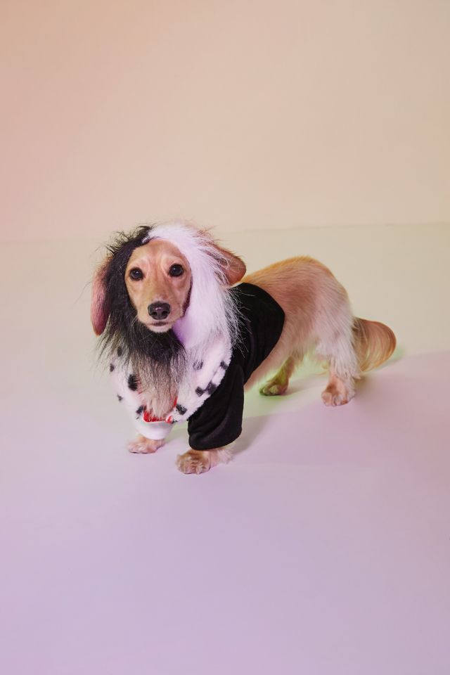 Cruella Deville Dog Halloween Costume Urban Outfitters