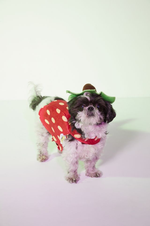 Strawberry Dog Costume Urban Outfitters