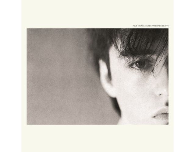 Felt - Crumbling The Antiseptic Beauty LP #1
