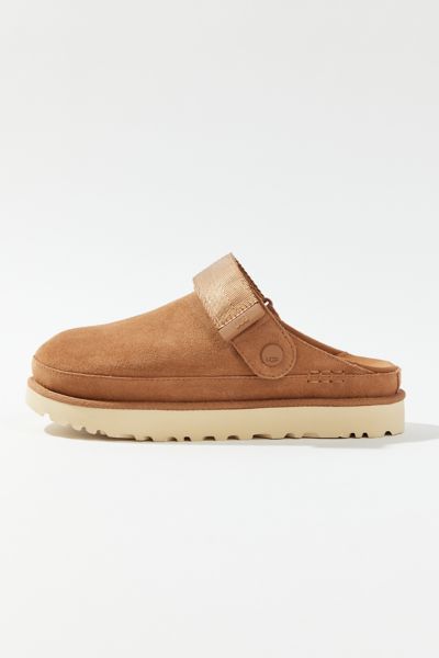 Ugg Goldenstar Suede Clog In Chestnut