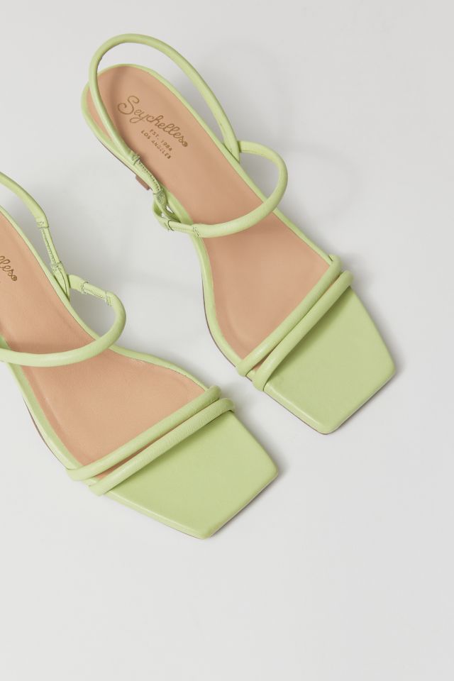 Seychelles Banks Heel #4