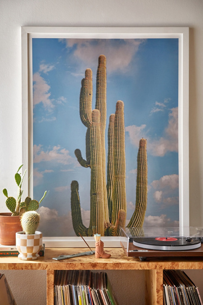 Laura Murray Sky Cactus Art Print