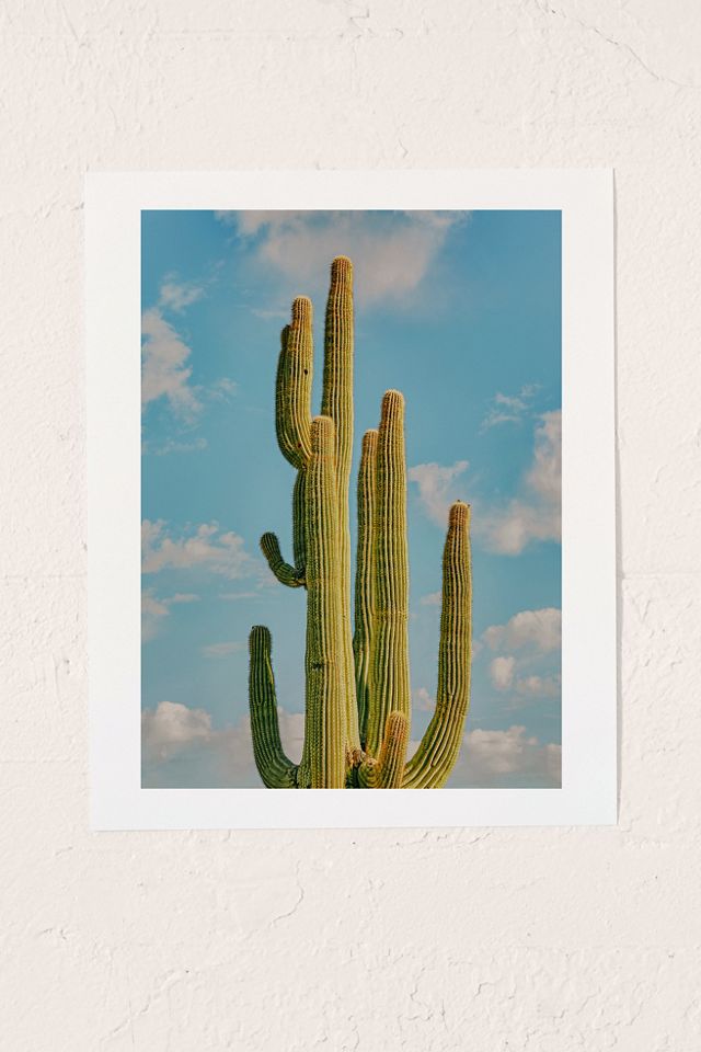 Laura Murray Sky Cactus Art Print