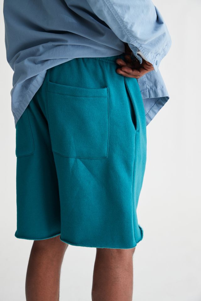 Standard Cloth Jamie Knit Short #4