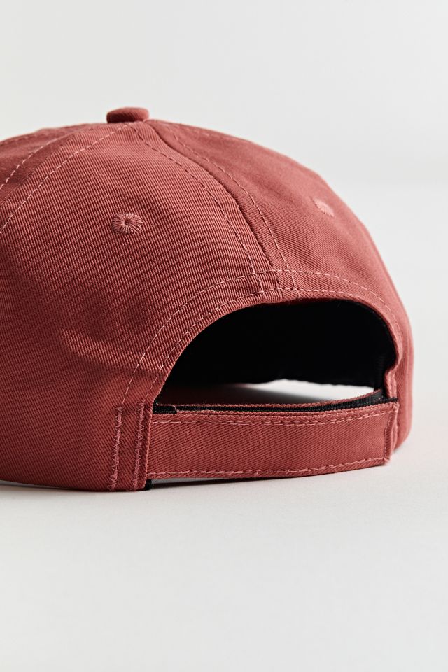 Hikerdelic Common Chicory Hat #3