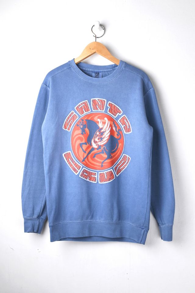 Santa Cruz Reclaimed Sweatshirt | Urban Outfitters