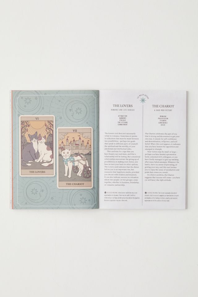 Cats Rule The Earth Tarot: 78-Card Deck And Guidebook For The Feline-Obsessed By Catherine Davidson #3
