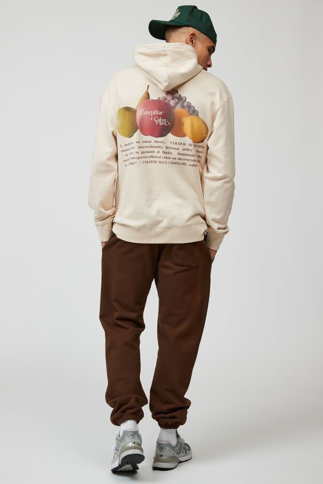 CAT X Colour Plus Co. Fruits Hoodie Sweatshirt #1