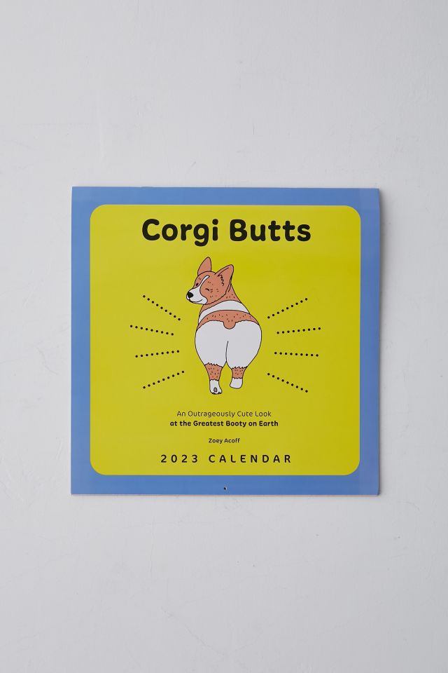 Corgi Butts 2023 Wall Calendar Urban Outfitters
