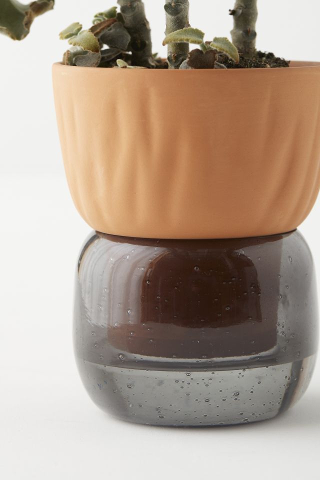 Carmella Small Self Watering Planter #3