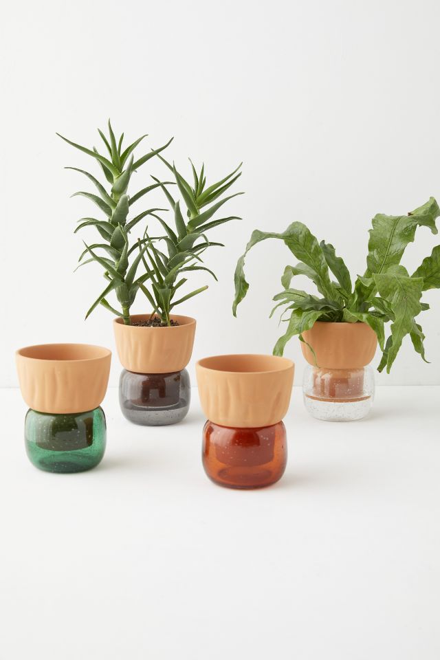 Carmella Small Self Watering Planter #4