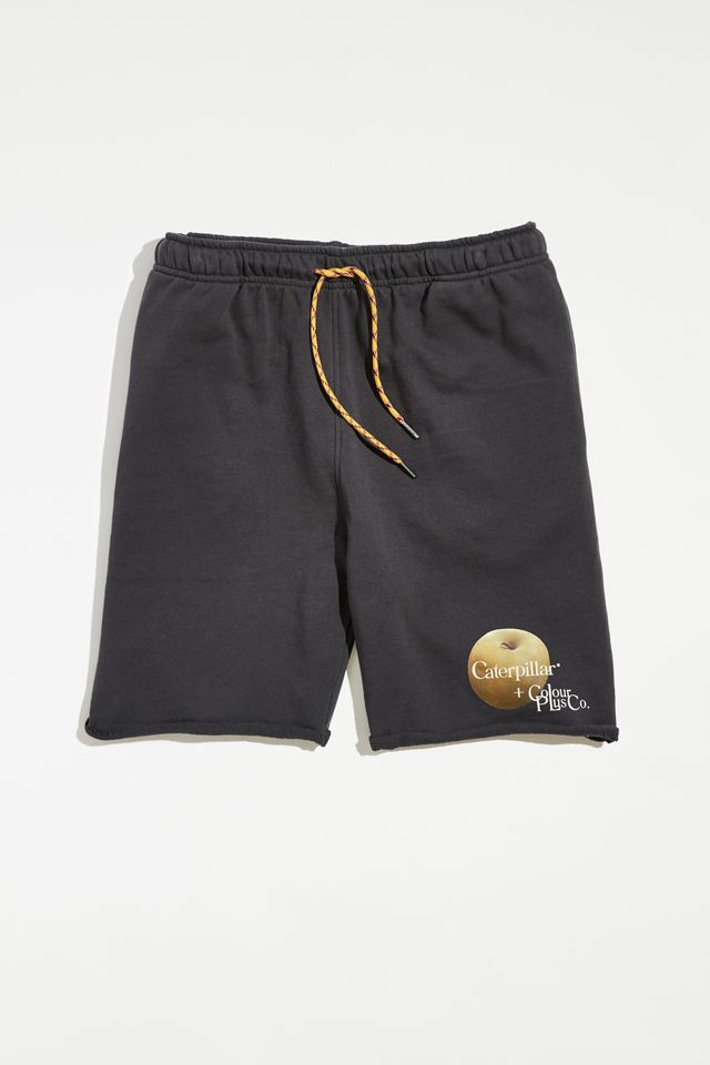 CAT X Colour Plus Co. French Terry Short | Urban Outfitters